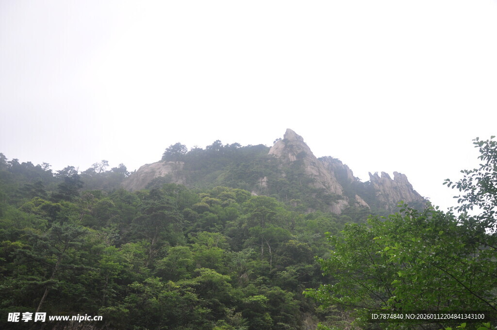 山峦叠翠间的绿意景致
