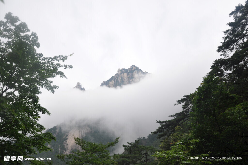 云雾缭绕的山林美景