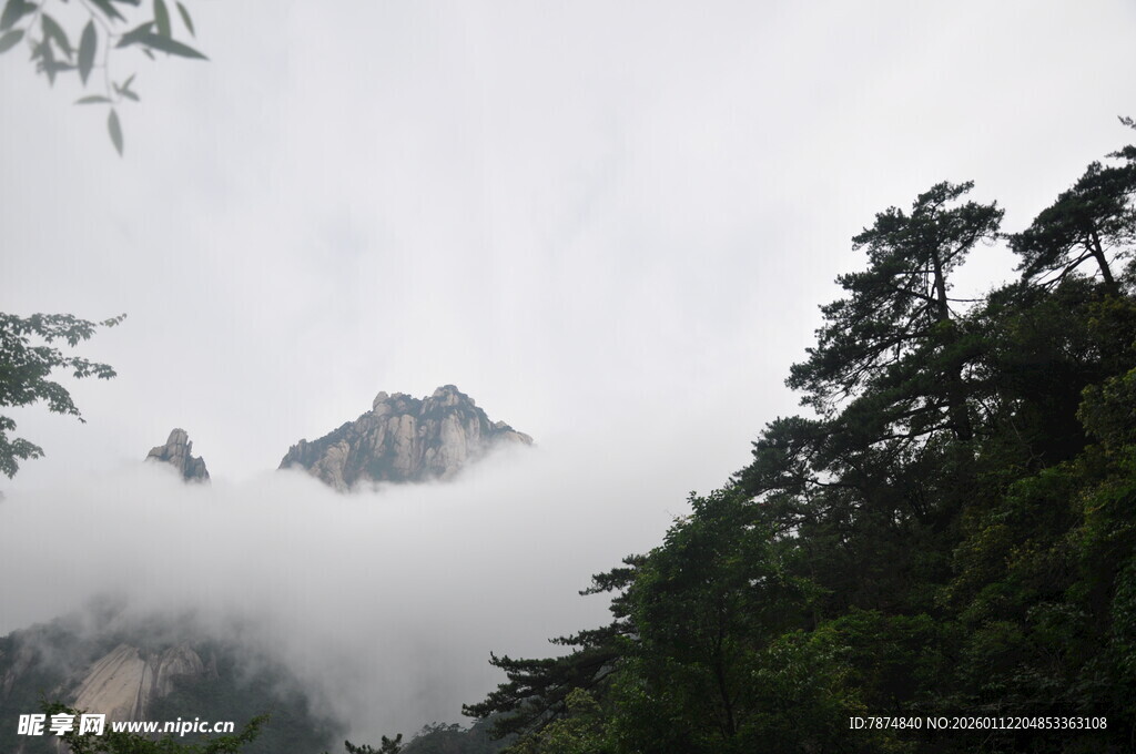 云雾缭绕中的山林景致