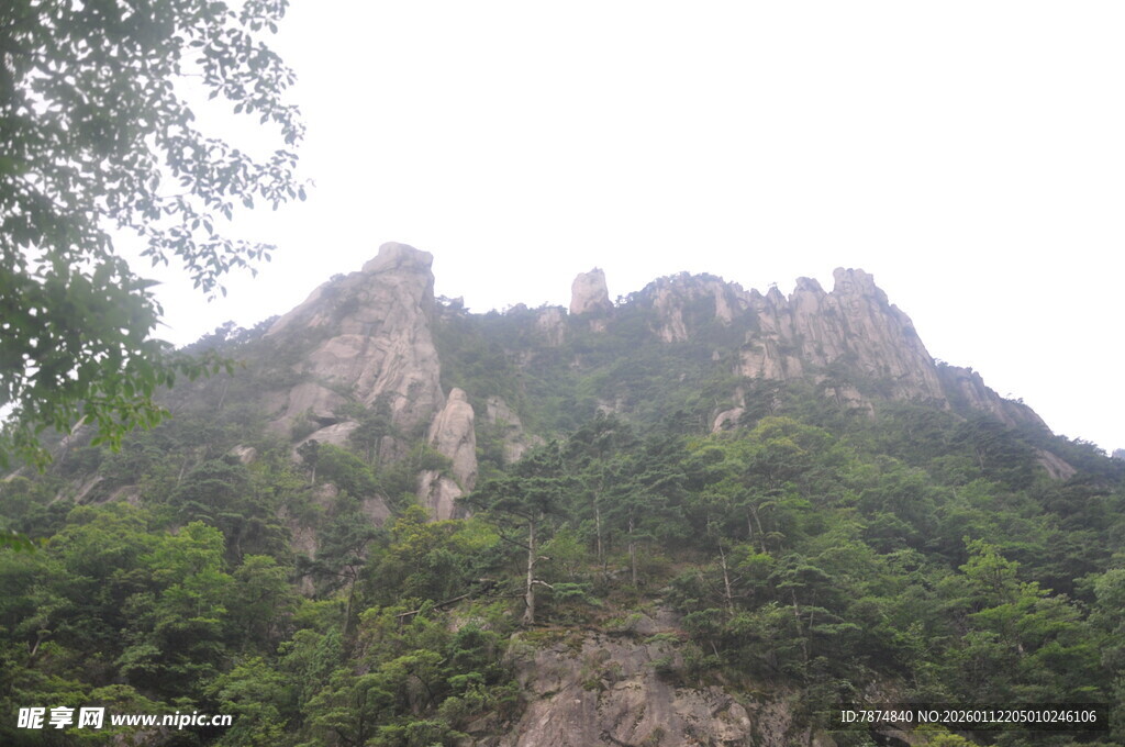 巍峨青山绿意浓