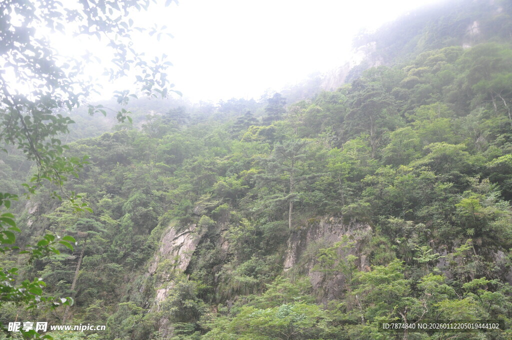 山林云雾缭绕的自然景致