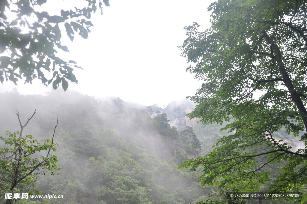 山林云雾缭绕的清新景致