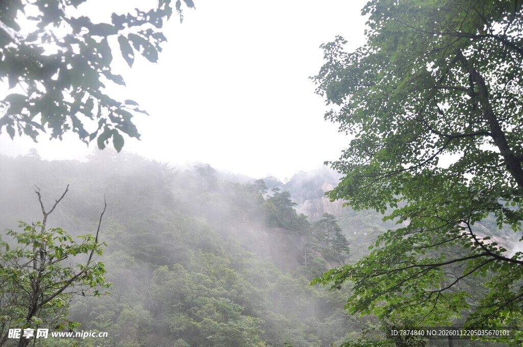 山林雾景 绿意朦胧