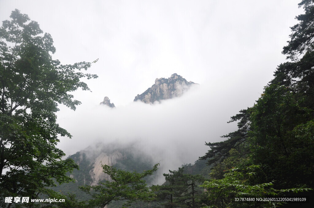 云雾缭绕的山林奇峰