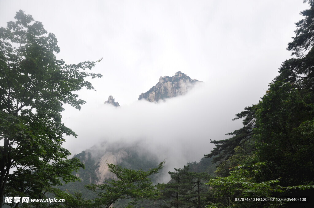 云雾缭绕的山林美景