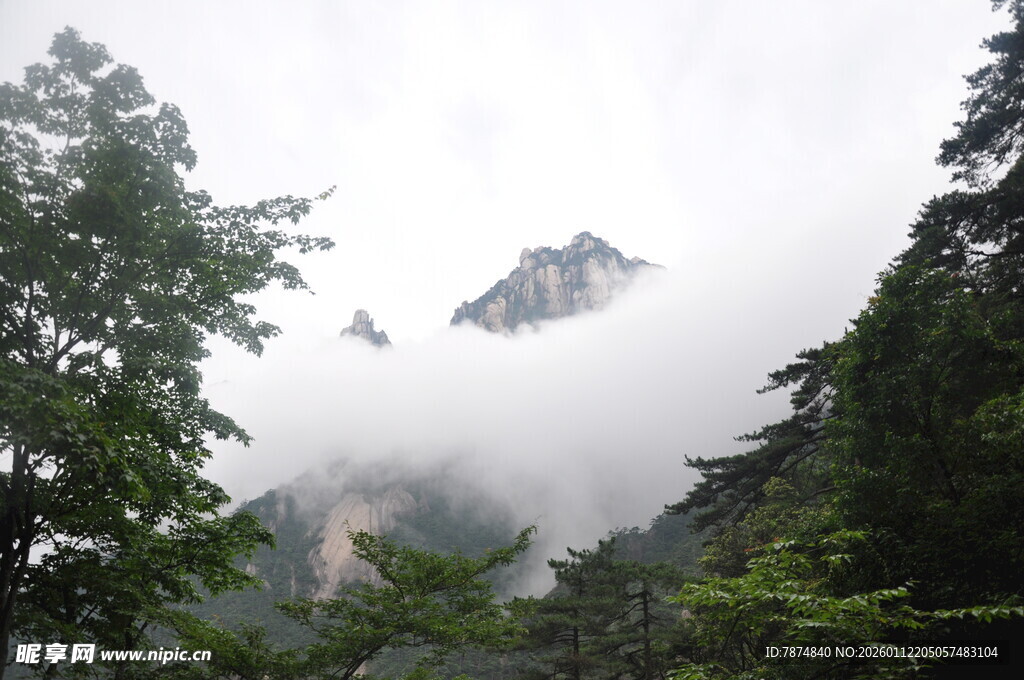 云雾缭绕中的山林与山峰