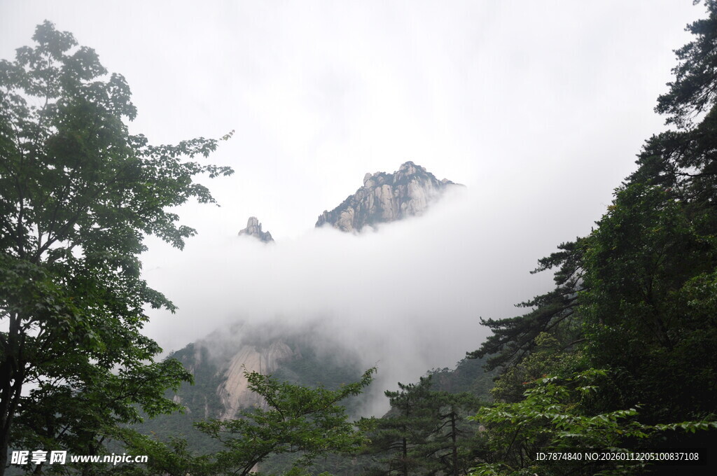 云雾缭绕中的山林景致