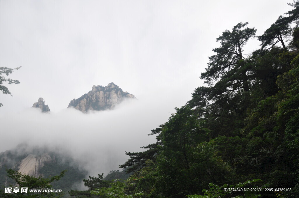 云雾缭绕的山林与山峰