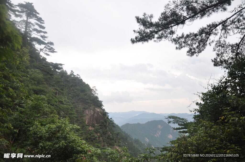 山间绿意盎然的秀丽景致