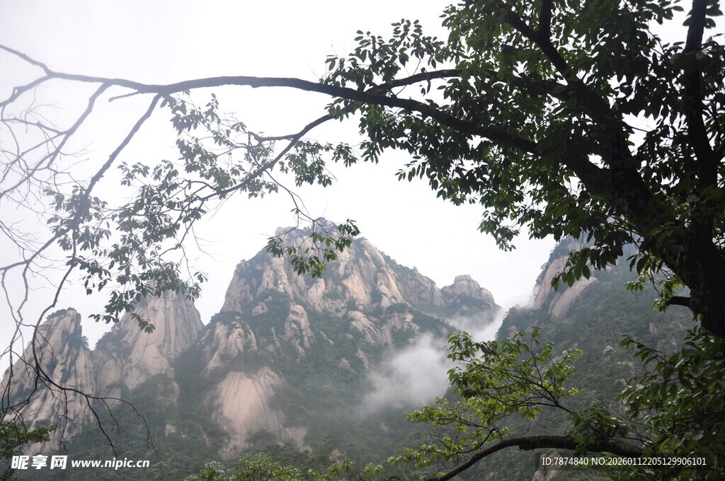 山间树影与奇峰美景