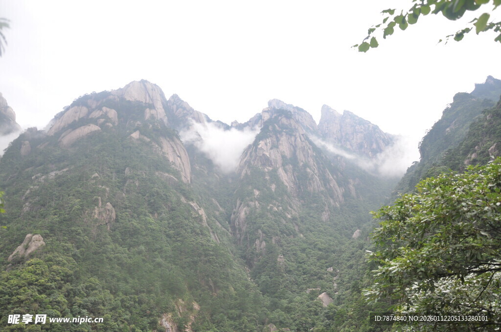 巍峨青山间绿意盎然