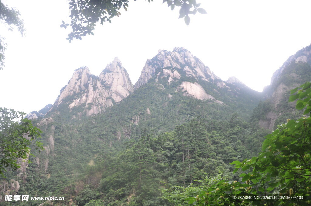 秀丽山峦与葱郁植被景观