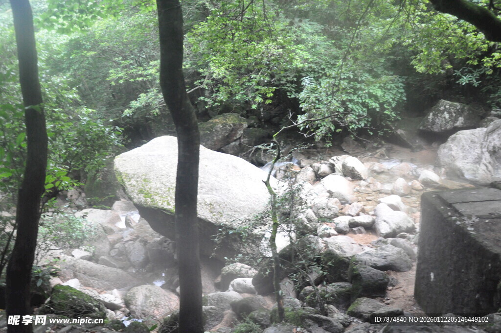 山林间的巨石与繁茂植被