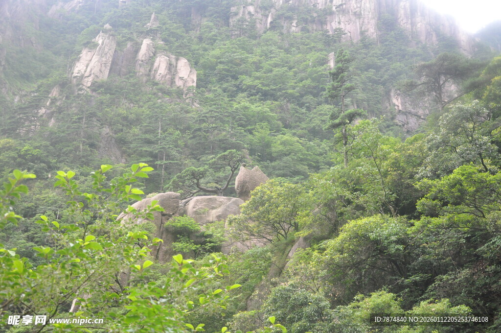 山间绿意盎然的秀丽景致