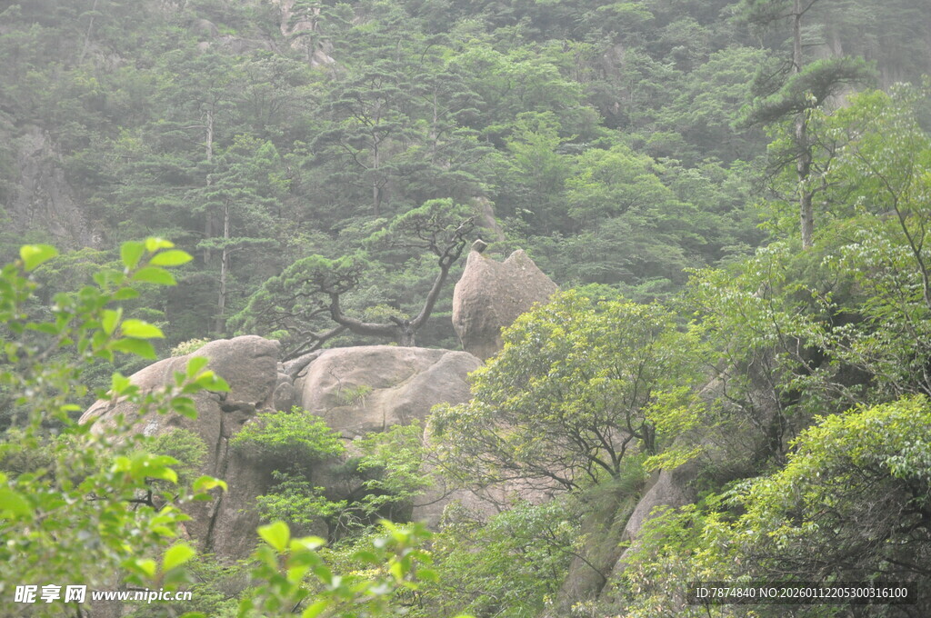 山林间的岩石景观