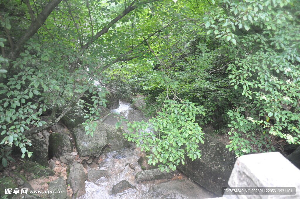 山林间的清幽石径