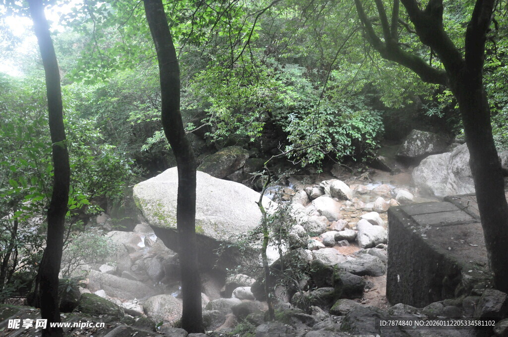 林间光影下的自然岩石景观