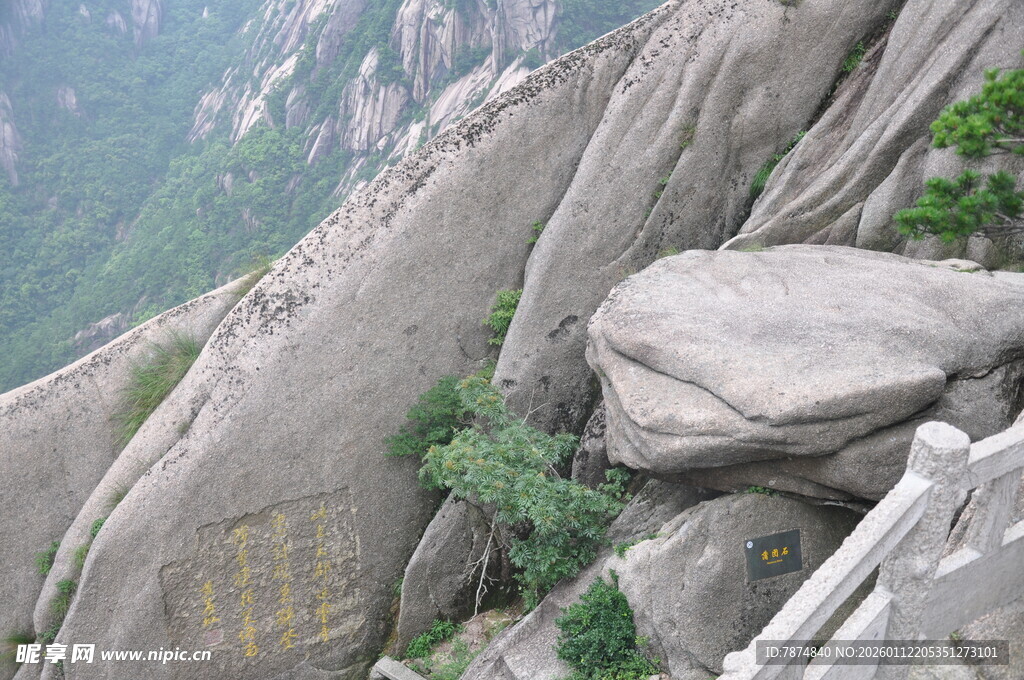险峻山峰上的岩石与绿植