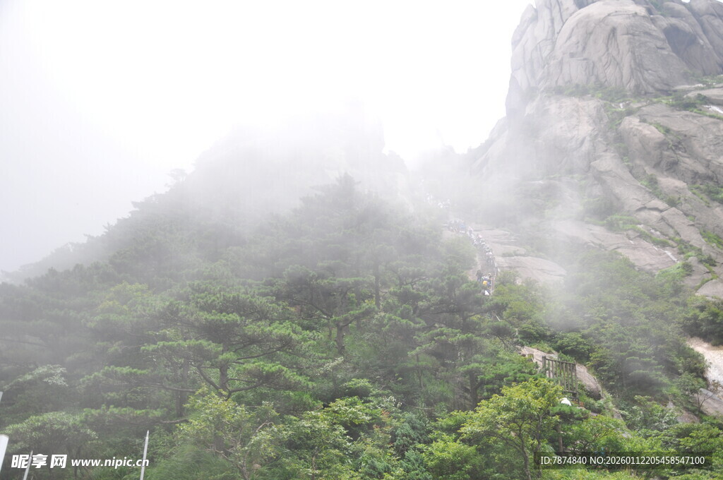 云雾缭绕的葱郁山峰