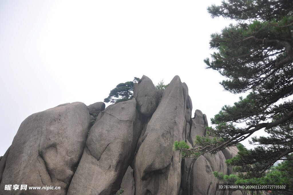 奇峰耸立间孤松傲立