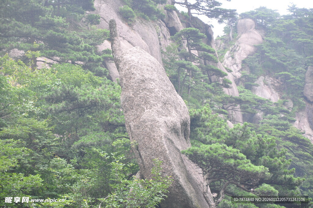 陡峭山壁与葱郁植被