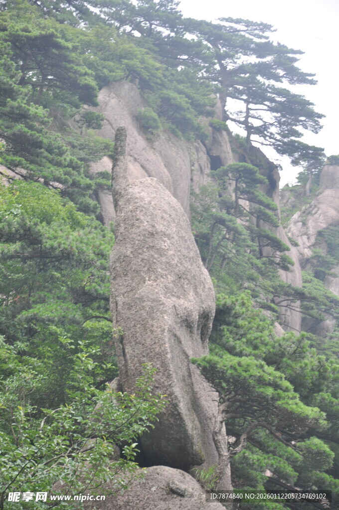 奇峰屹立于葱郁山林间