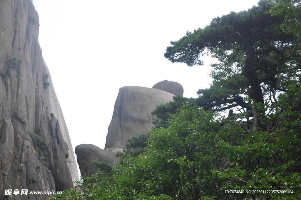 山间巨石与苍松景观