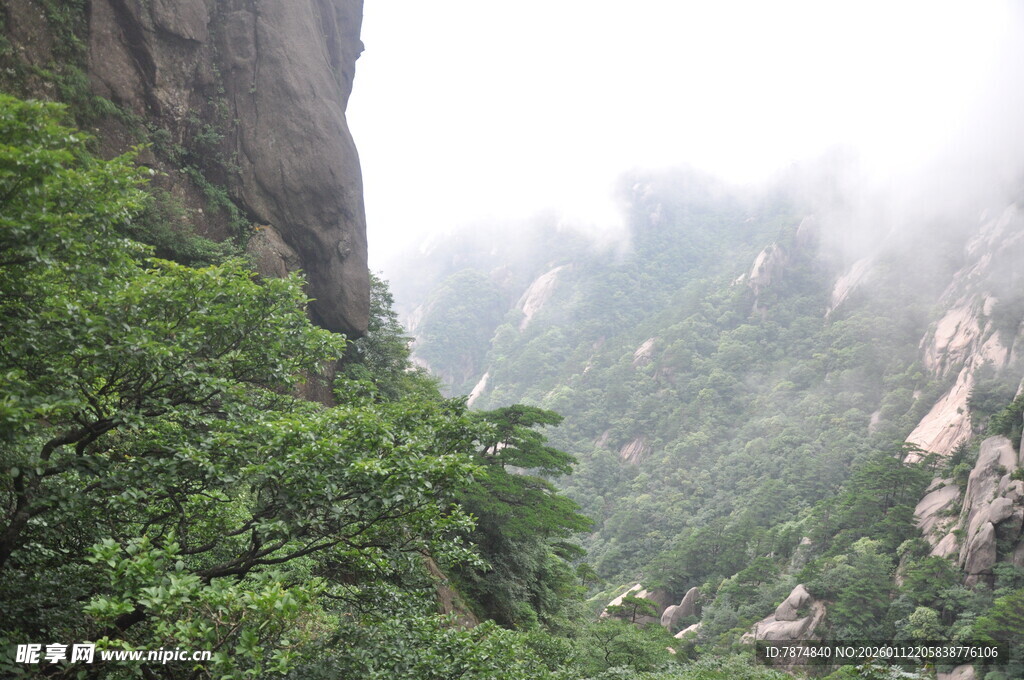 云雾缭绕的山间绿意景观