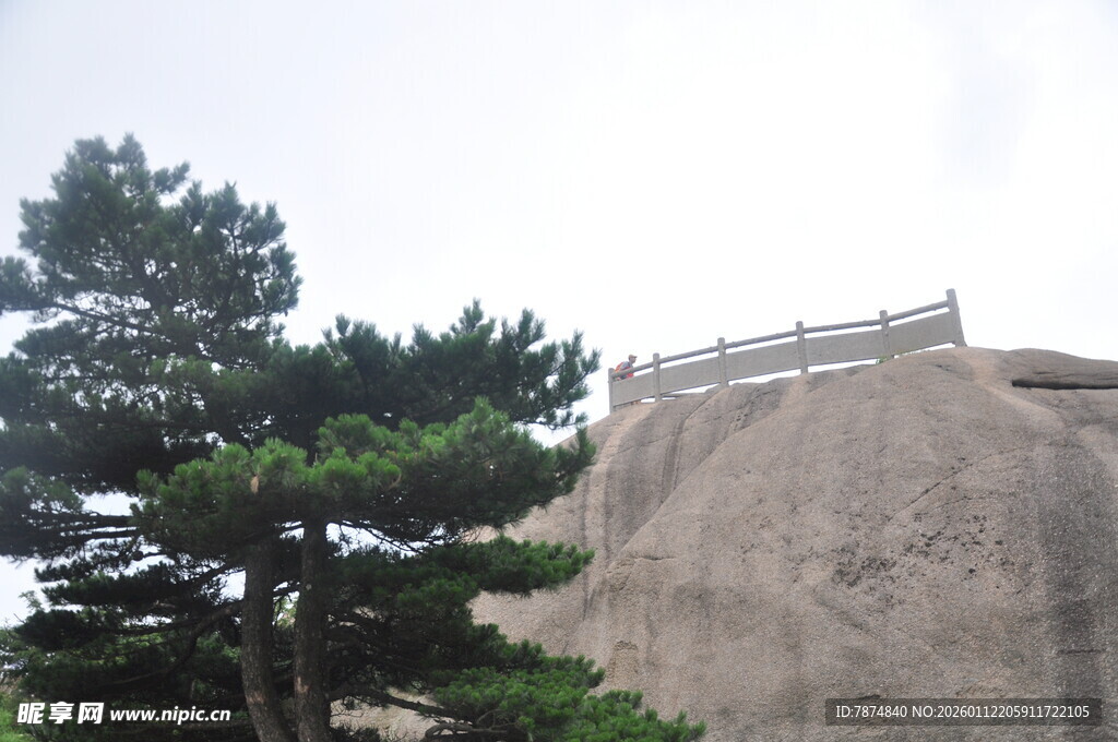 山巅松树与观景台
