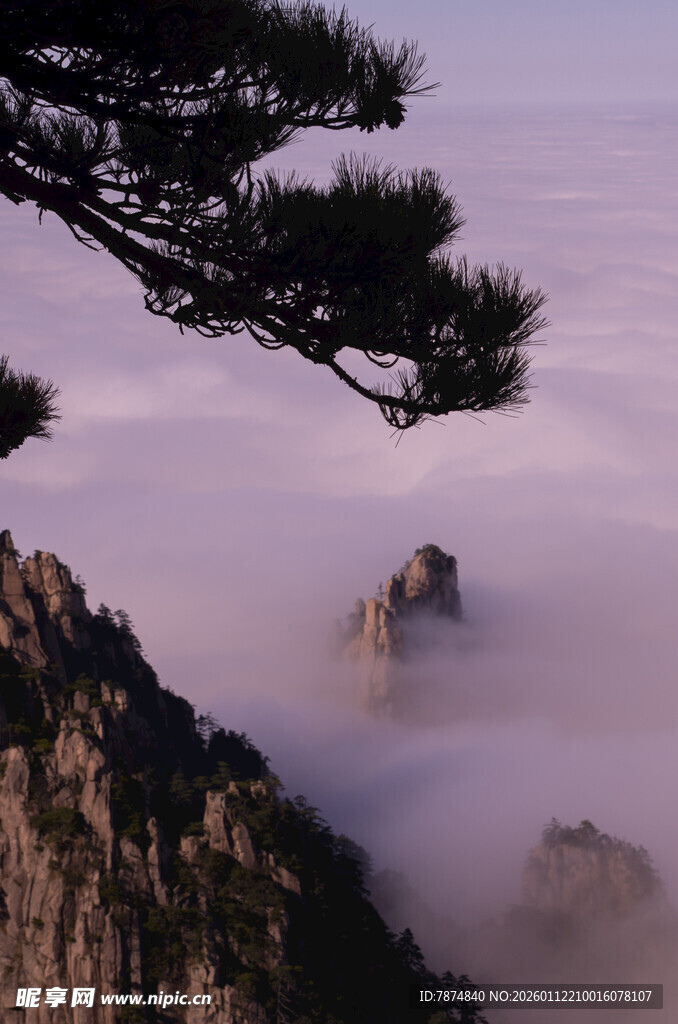 黄山云海中的奇松怪石