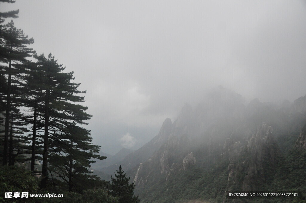 云雾缭绕的山林美景