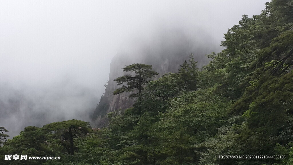 云雾缭绕的山林美景