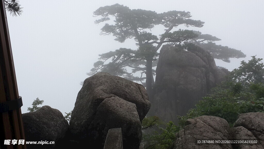 雾中黄山奇松与怪石