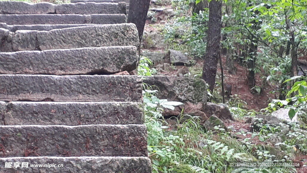 山林中的石阶步道