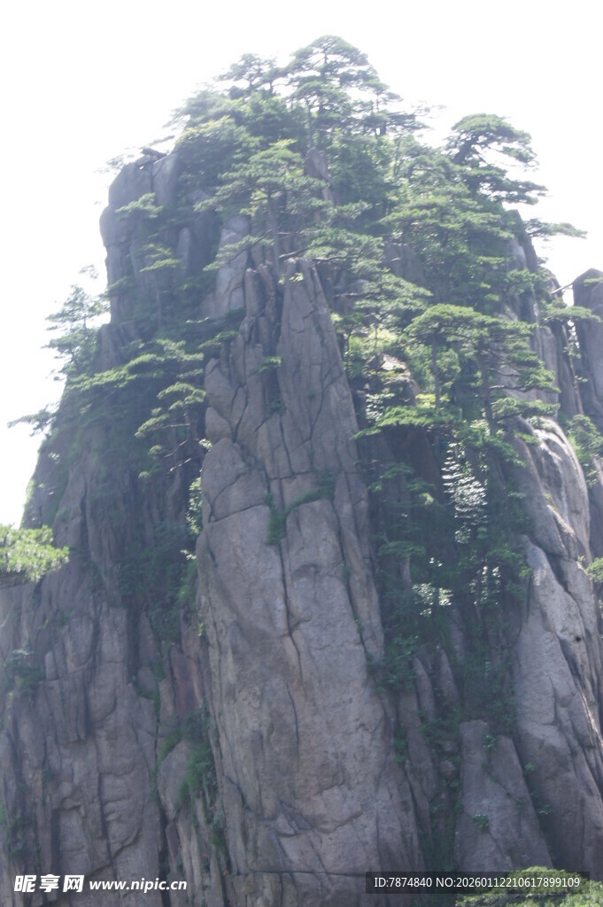 巍峨山峰上的葱郁植被