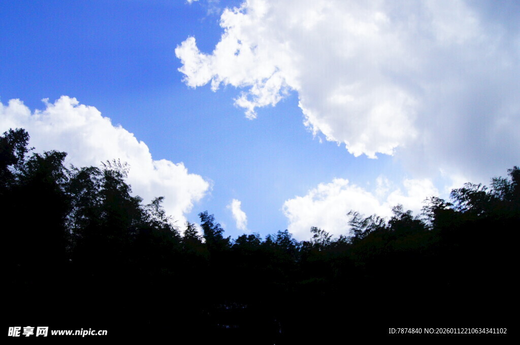 蓝天绿树间的清新景致