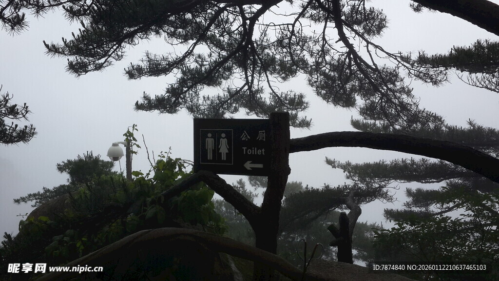 山林中的木质指示牌