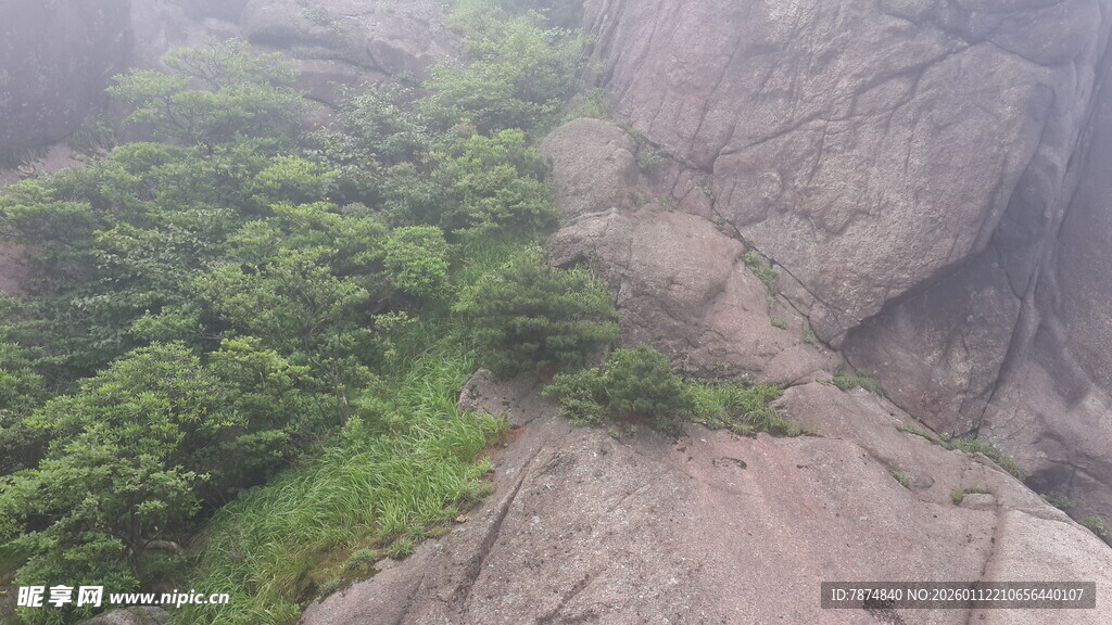 山间葱郁植被覆盖的岩石