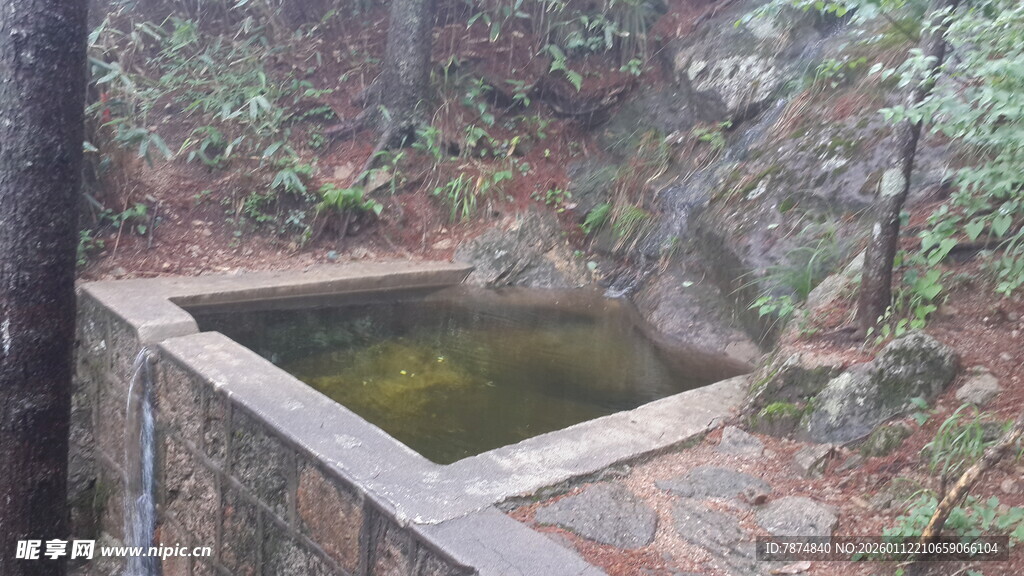 山林中的静谧方形水池