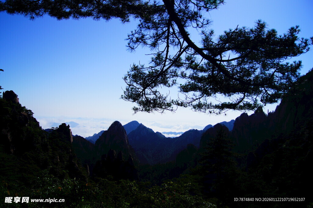 山间松景 日暮秀丽风光
