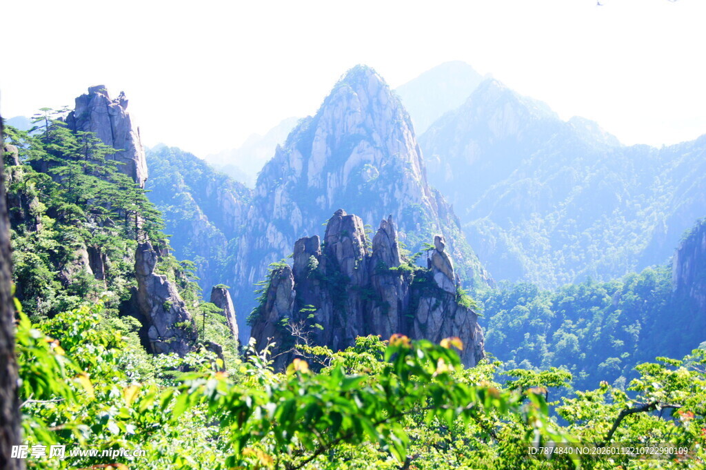 壮丽山峰与葱郁植被景观