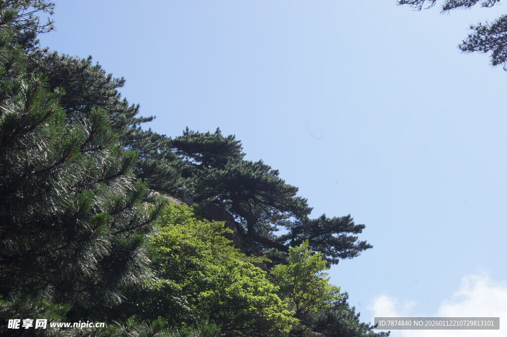 山林绿意 蓝天相伴