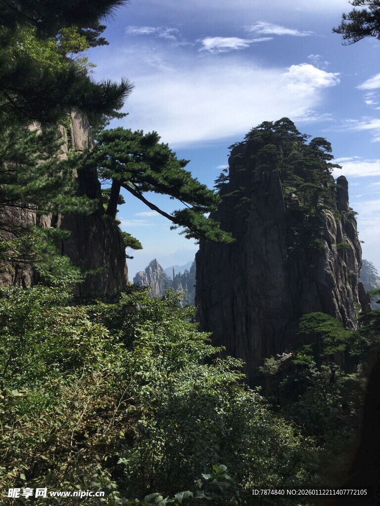 黄山奇峰与葱郁植被景观