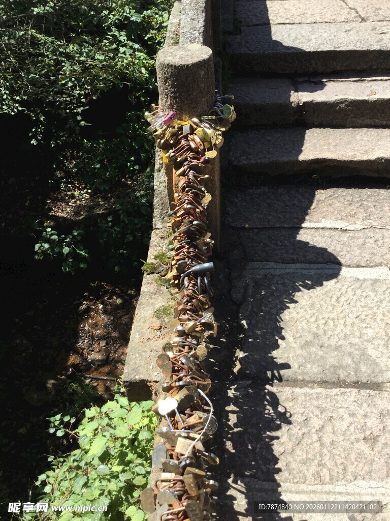 石阶边缘的绿植景观