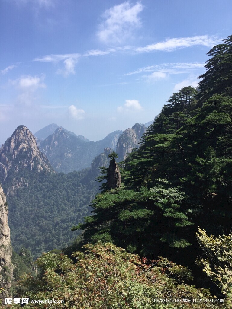 壮丽山景 葱郁山林