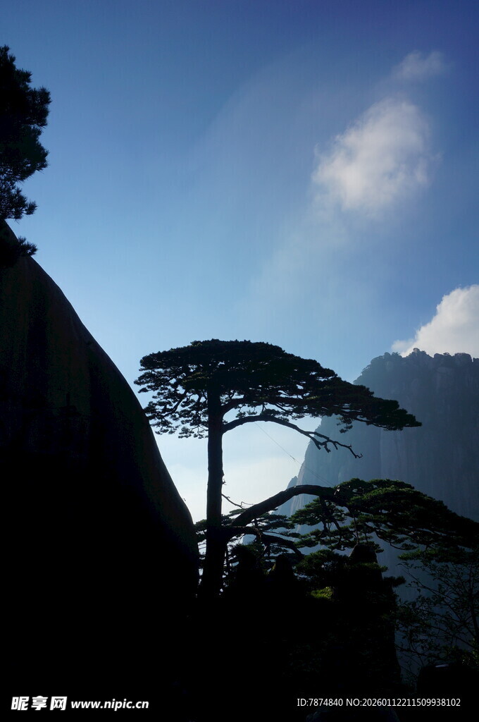 山间孤松映蓝天
