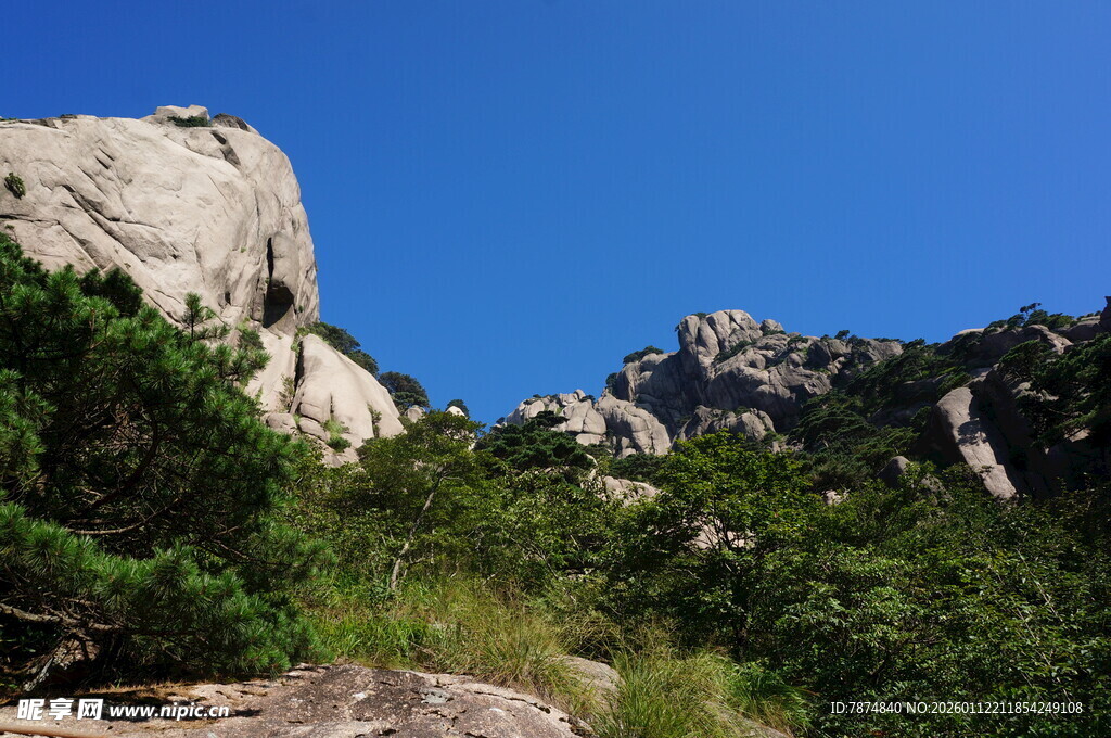 巍峨山石旁的葱郁植被