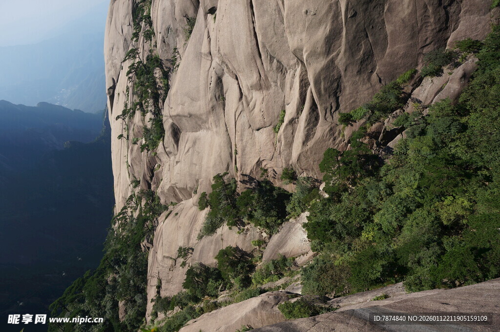 陡峭山壁上的绿植景观
