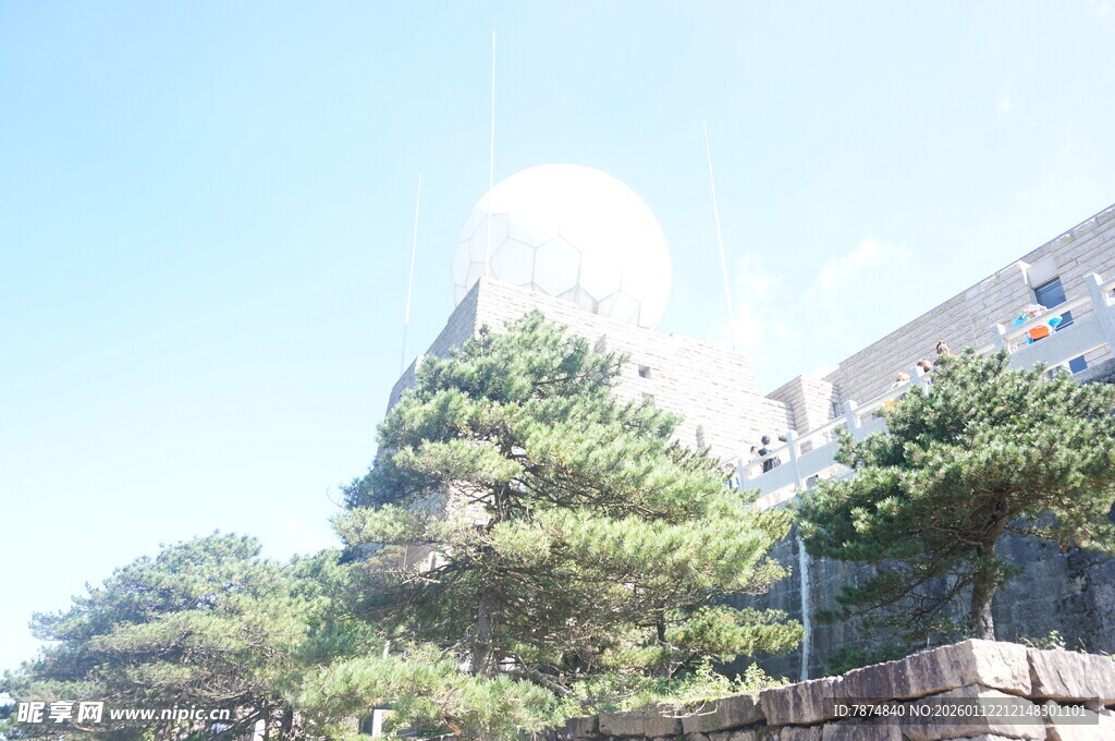 阳光下的建筑与葱郁树木