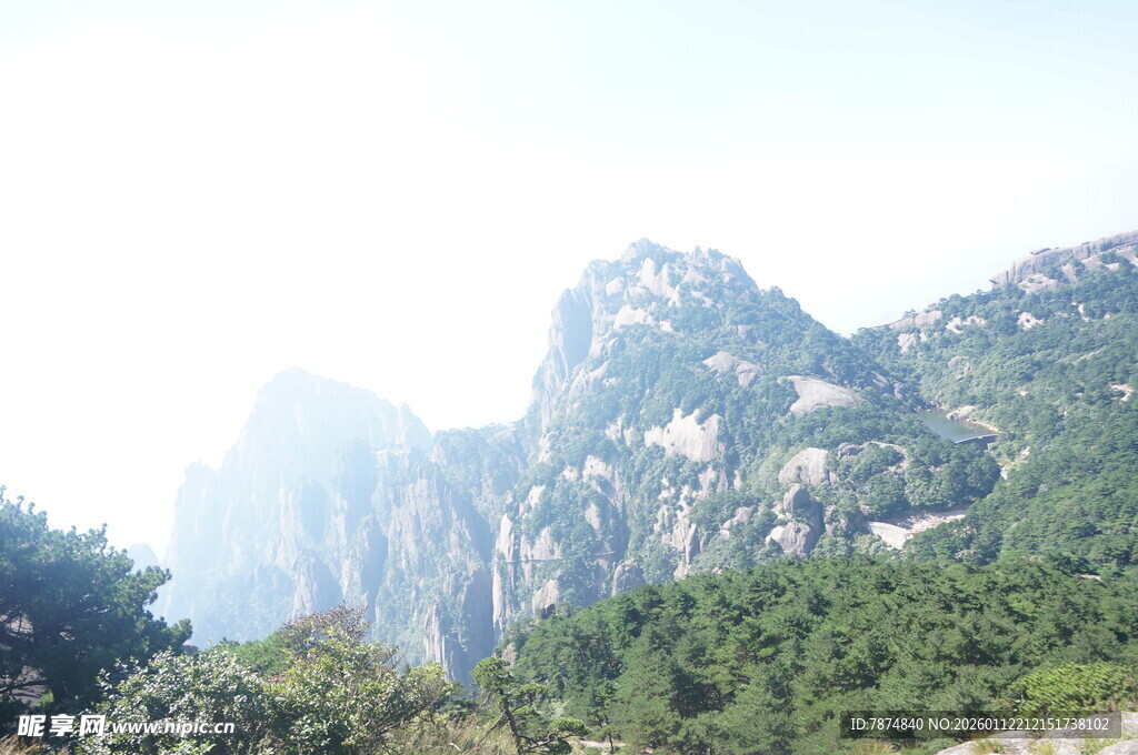 巍峨青山绿意浓